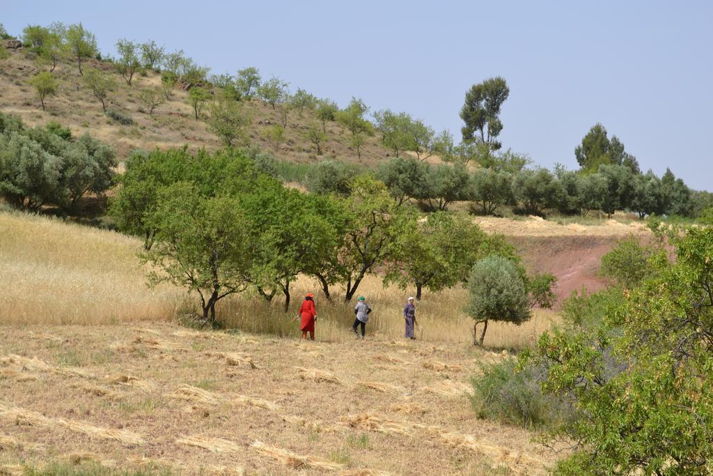 Kasbah Timdaf 호텔 뎀나트 외부 사진