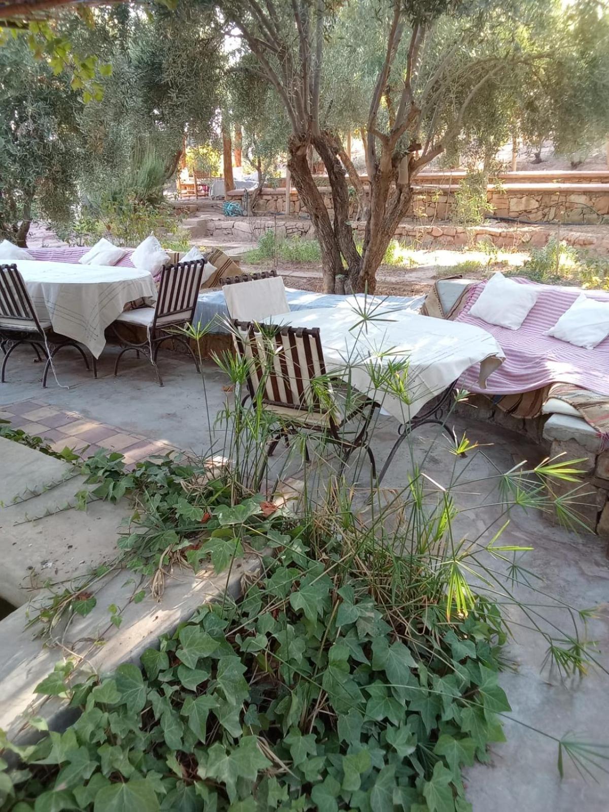 Kasbah Timdaf 호텔 뎀나트 외부 사진