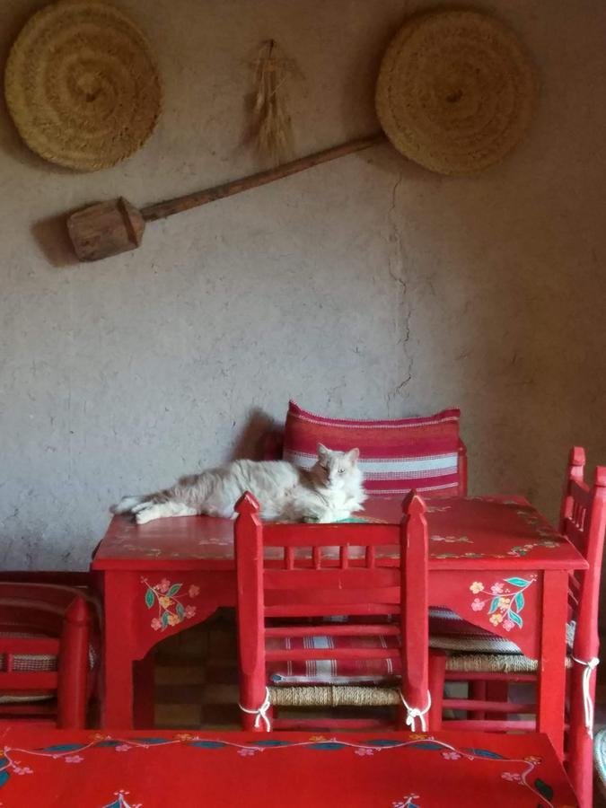 Kasbah Timdaf 호텔 뎀나트 외부 사진